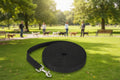 Longer Pet Leashes Rope Outdoor Training Running Dog Leash Belt PP Dogs Lead for Chihuahua Small and Large Dog Product