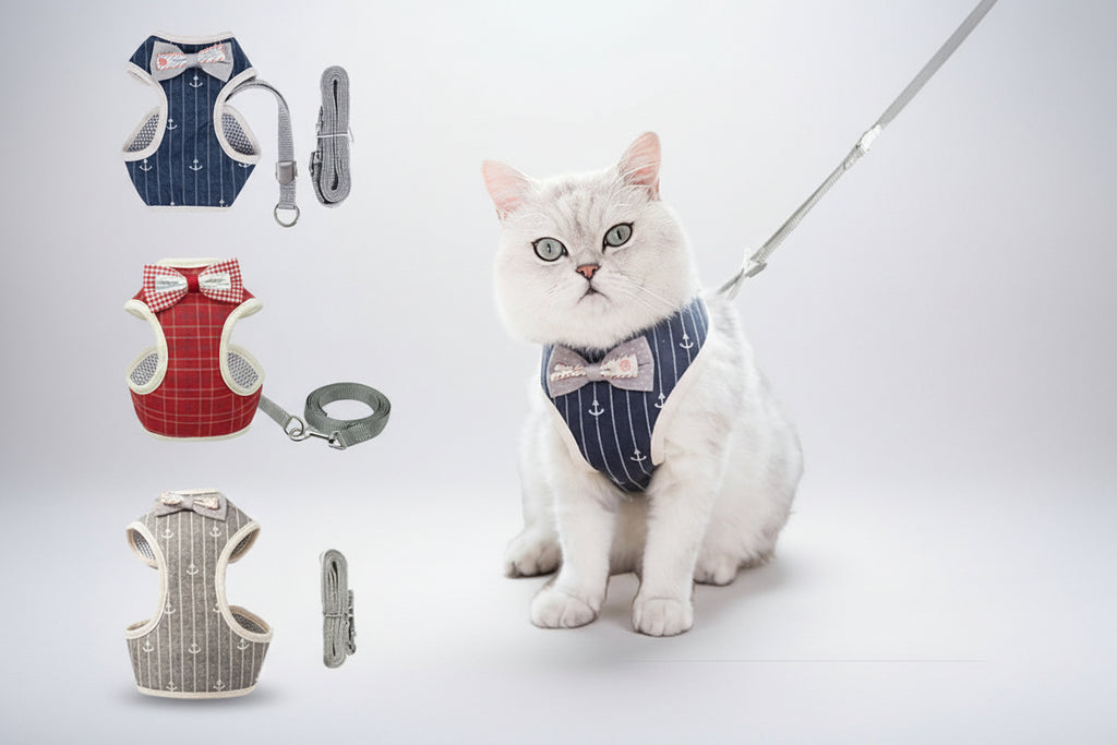Cat Harness and Leash Set Bowknot Mesh Pet Cat Dog Harness Vest Leads Cat Leash Clothes Cat Collar Dog Traction Harness Belt