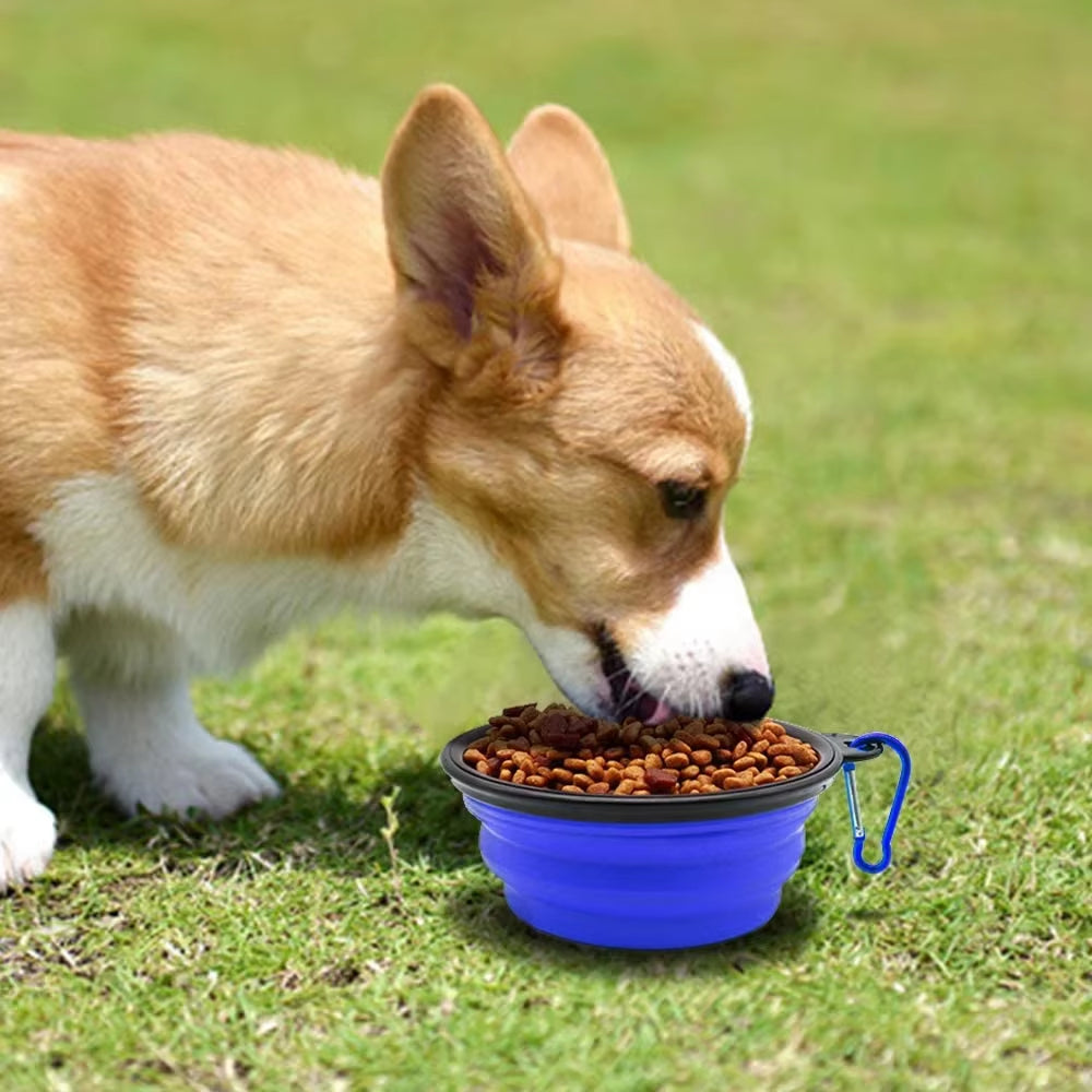 1000ML Silicone Dog Feeder Bowl with Carabiner Folding Cat Bowl Travel Dog Feeding Supplies Food Water Container Pet Accessories